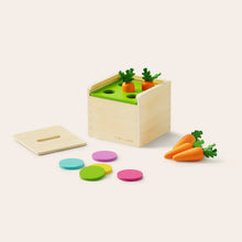 Load image into Gallery viewer, Tiny Land® Montessori Toys Set for Toddlers (13-15 month)
