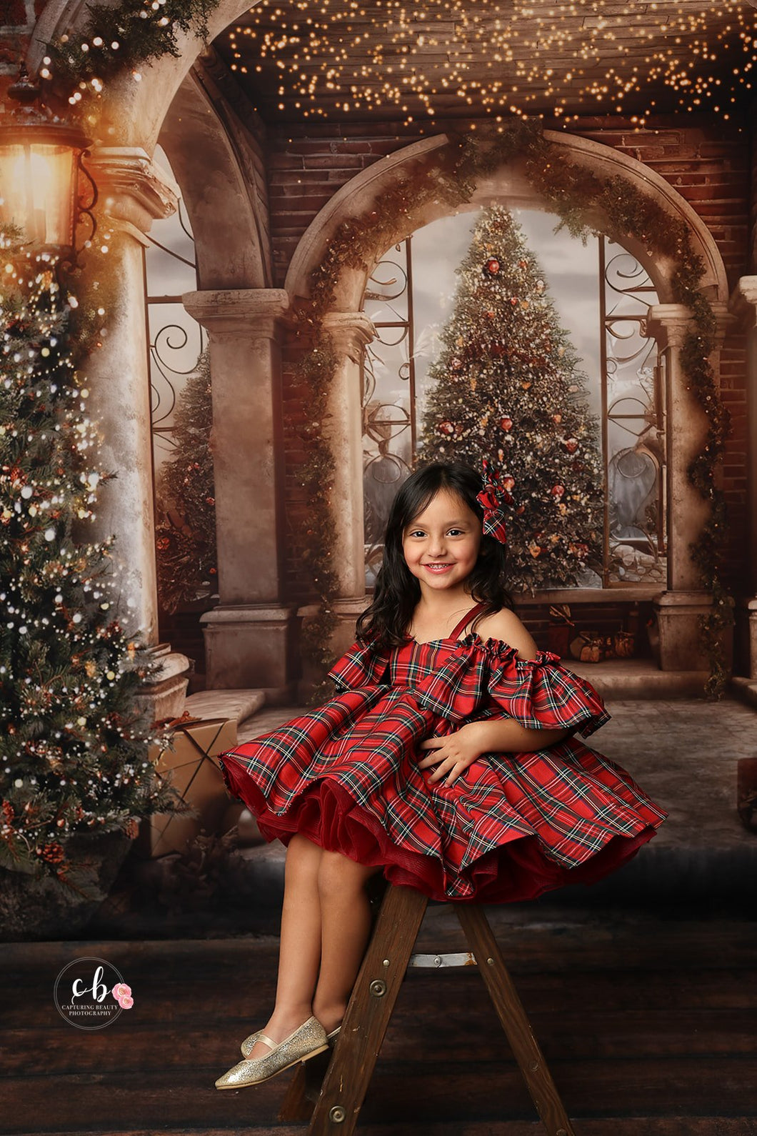 Christmas Belle Tutu Dress dress starts shipping 11/29