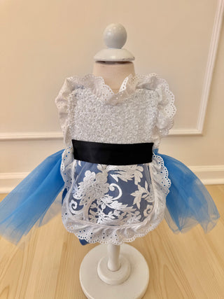 Wonderland Onederland Tutu Romper Size 6-12  m