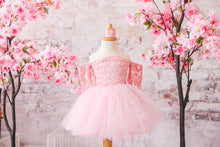 Load image into Gallery viewer, Isabella Tutu Dress in Pink
